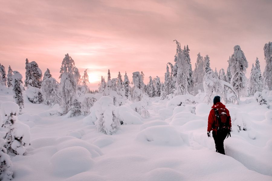 Entdecke-Lappland-im-Winter-mit-Nordic