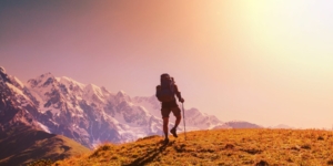 Nordic Collection Roadshow Header